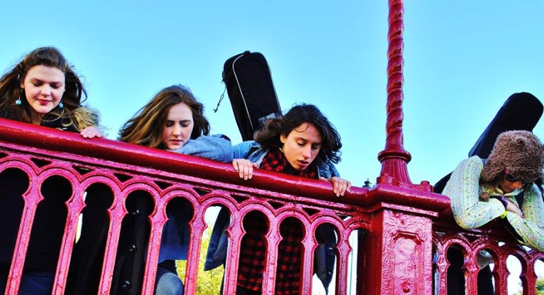 Mongoose – Mongoose