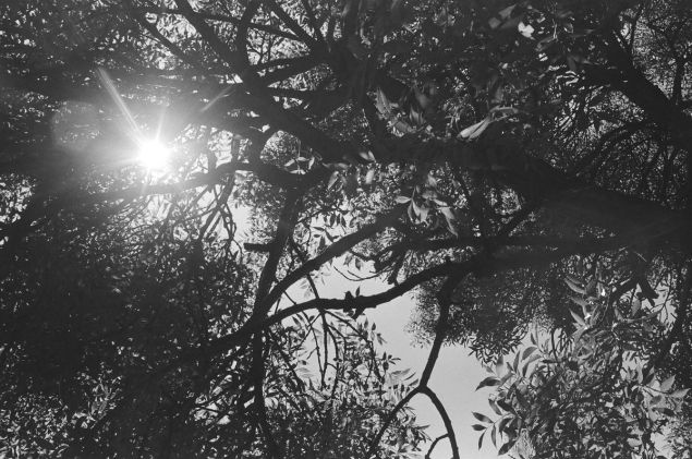 We, The Oceanographers –&nbsp;@Ventures.002