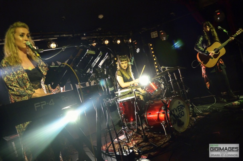 Wyvern Lingo in Whelans by Mark O' Connor (2 of 21)