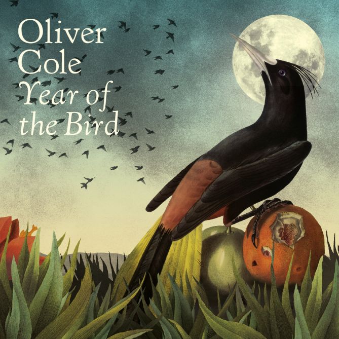 Oliver Cole – Year of the&nbsp;Bird