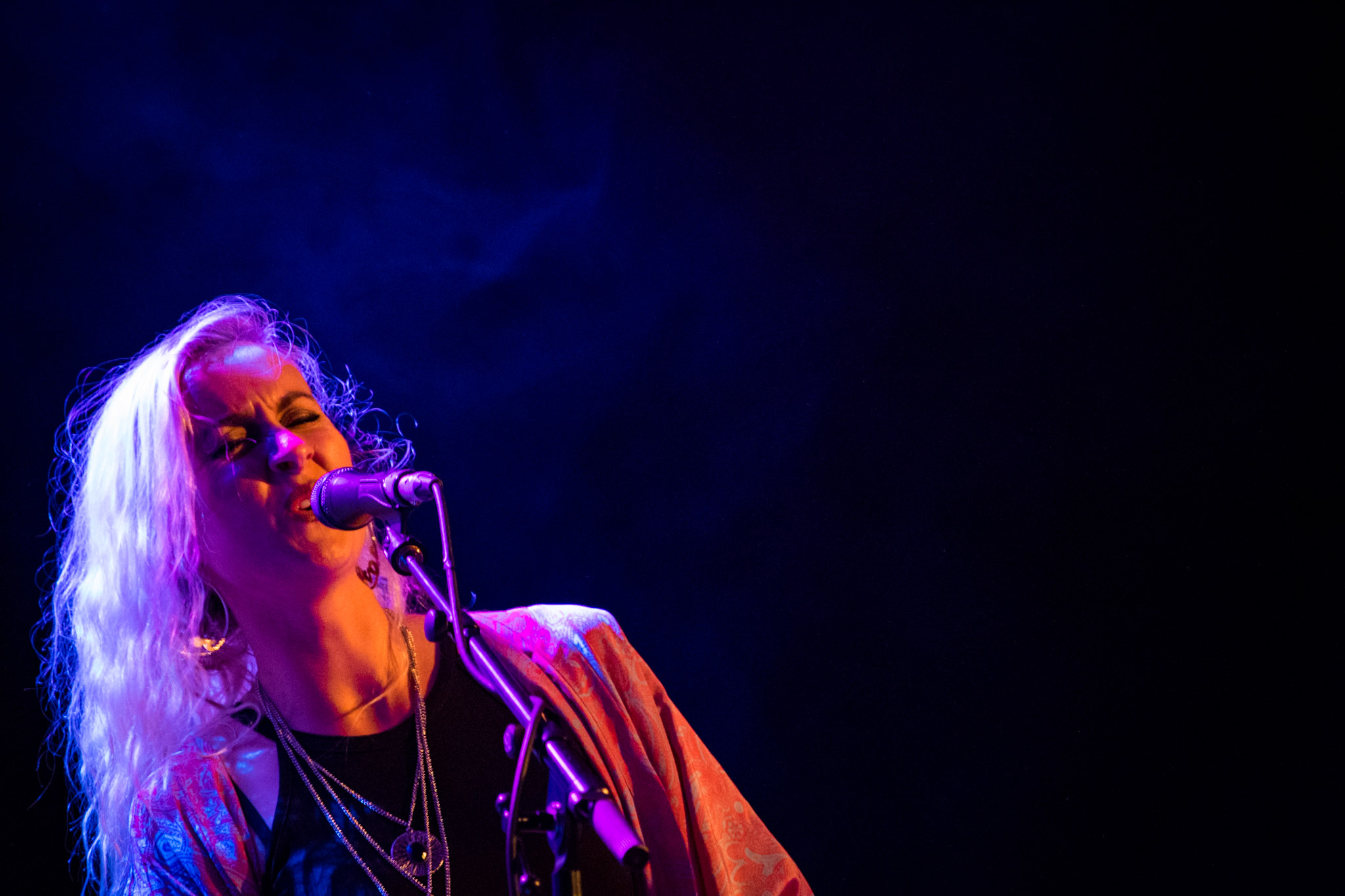 Interlude 2016 Wyvern Lingo (photo by Stephen White) 3