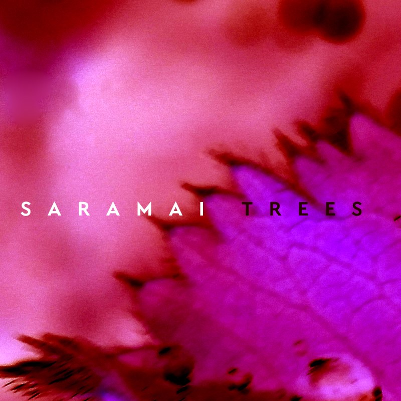 The Mixed-Tape | Saramai&nbsp;-Trees