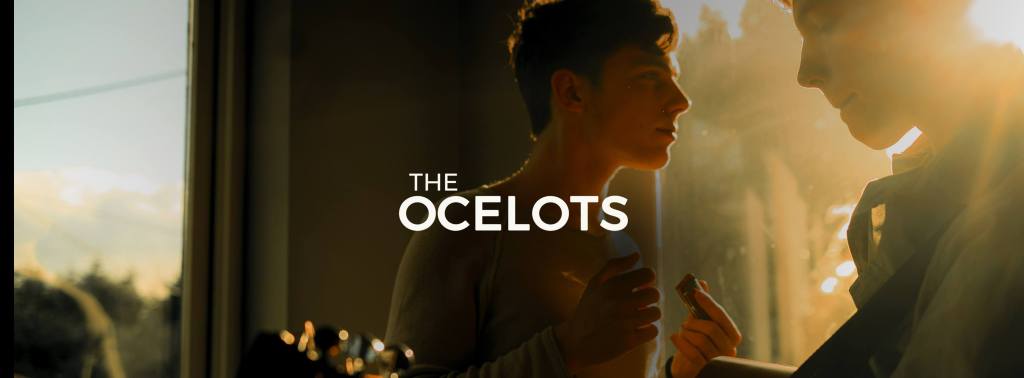 Watch | Indie-folk two-piece the Ocelots release debut single ‘Lover I Need&nbsp;You’
