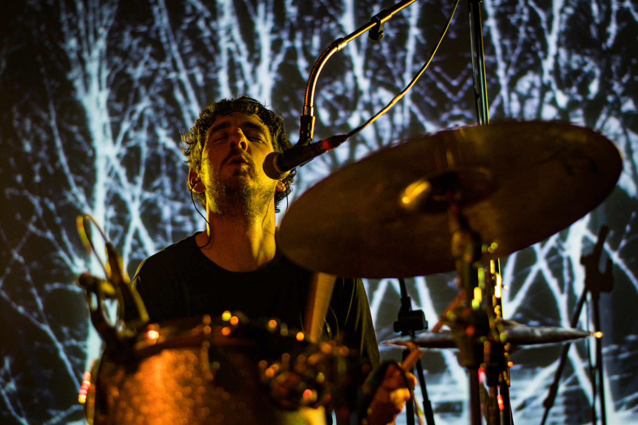 r-s-a-g-at-hwch-2016-photo-by-stephen-white-5