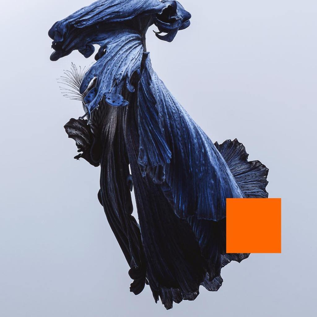 Review | “There’s a sense of majesty to the music” Talos – Far Out&nbsp;Dust