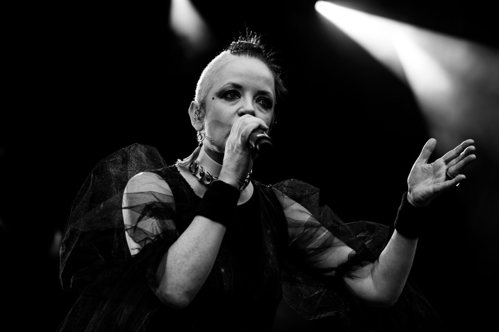 Photos | Garbage at the Iveagh Gardens with support from&nbsp;whenyoung